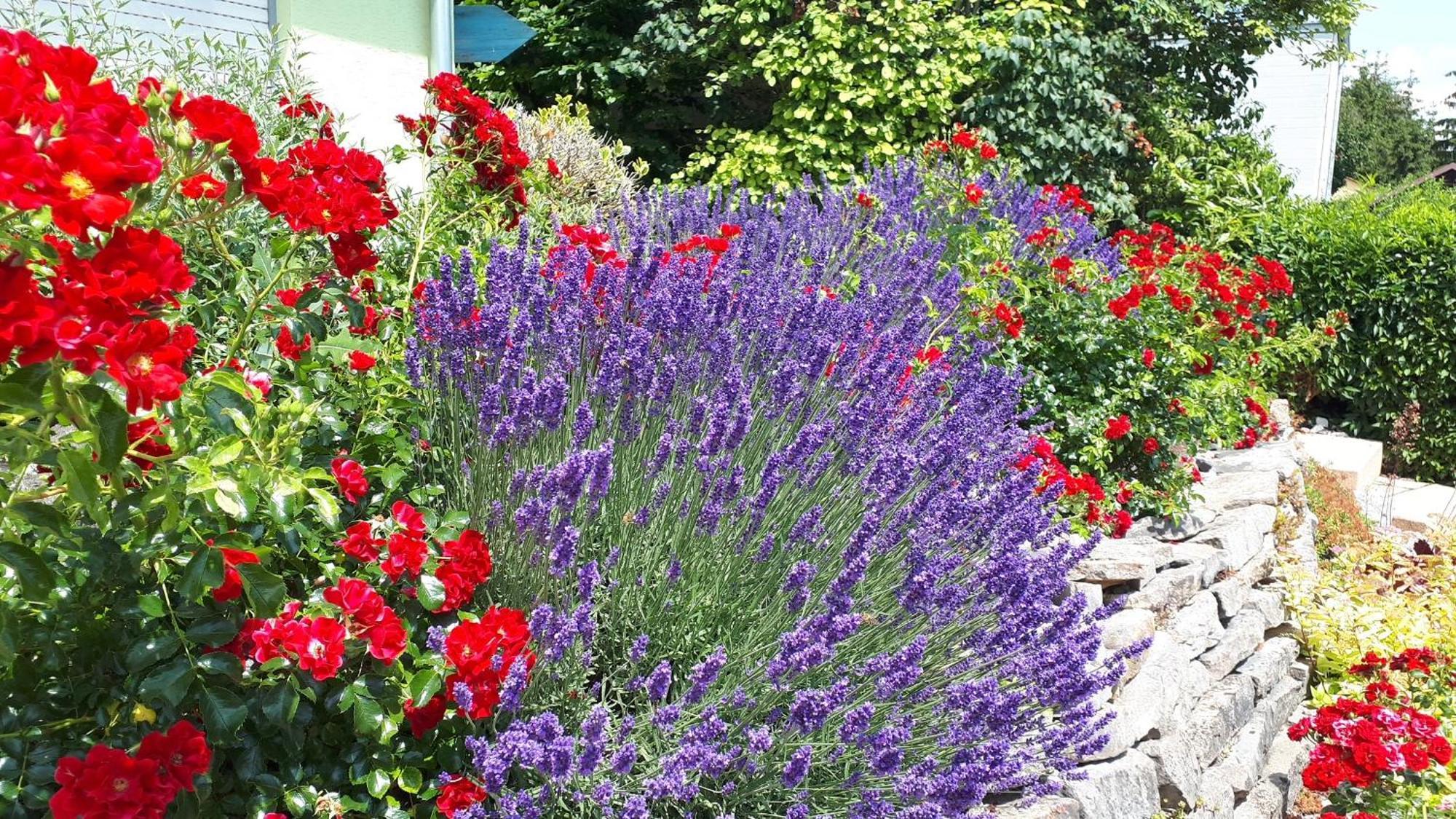 Pension Am Weinberg Bed & Breakfast Mainstockheim 外观 照片