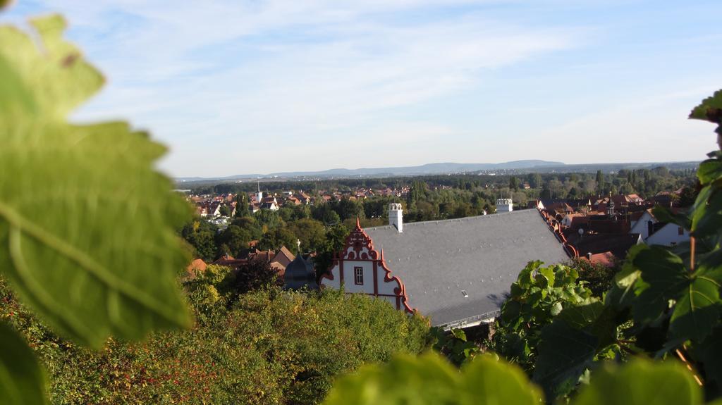 Pension Am Weinberg Bed & Breakfast Mainstockheim 外观 照片