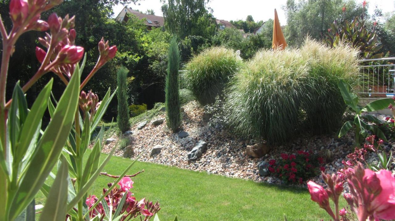 Pension Am Weinberg Bed & Breakfast Mainstockheim 外观 照片